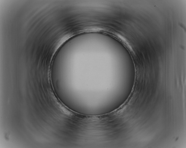 X0000091881186200709051009