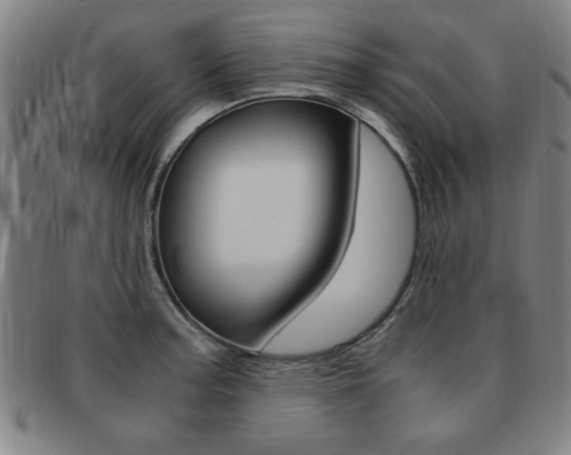 X0000091881187200709051009