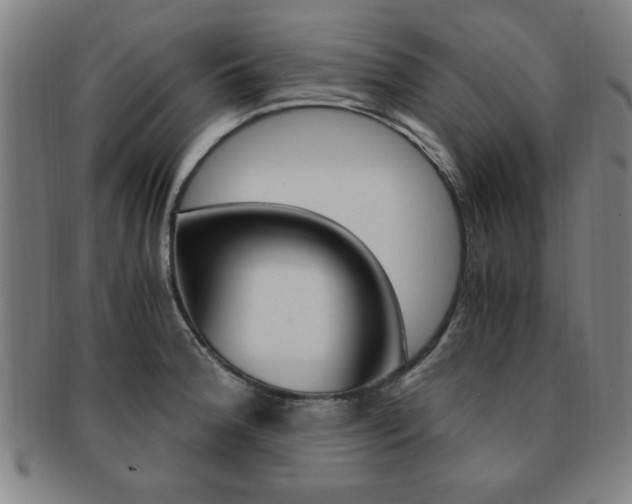 X0000091881188200709051009