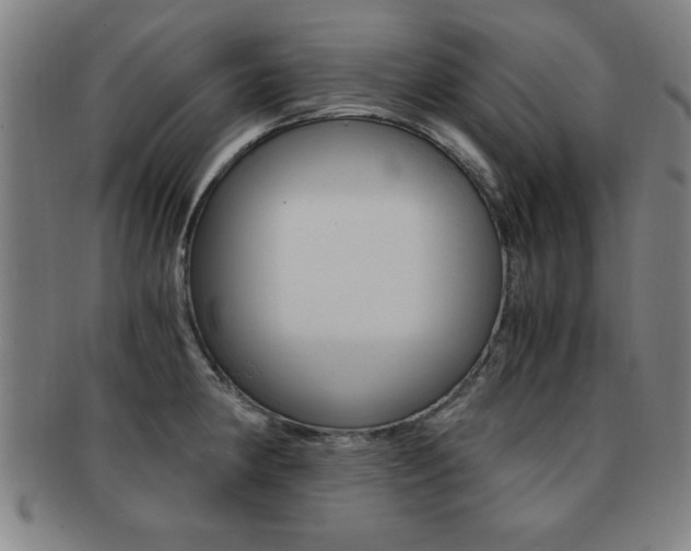 X0000091881190200709051009