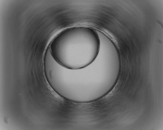 X0000091881192200709051009