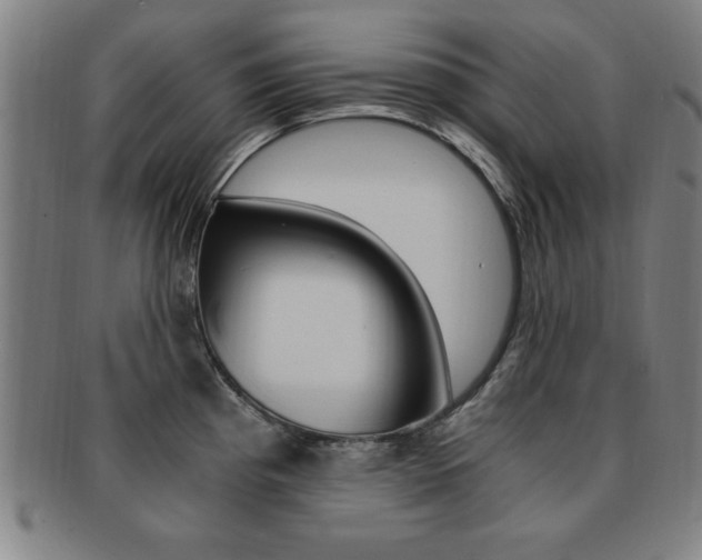 X0000091881193200709051009