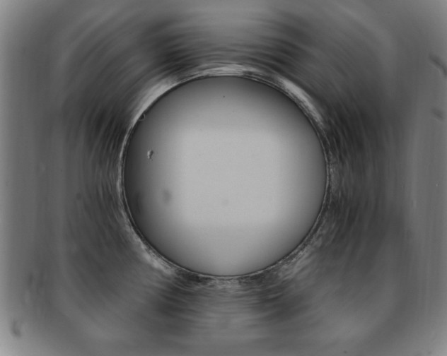 X0000091881194200709051009