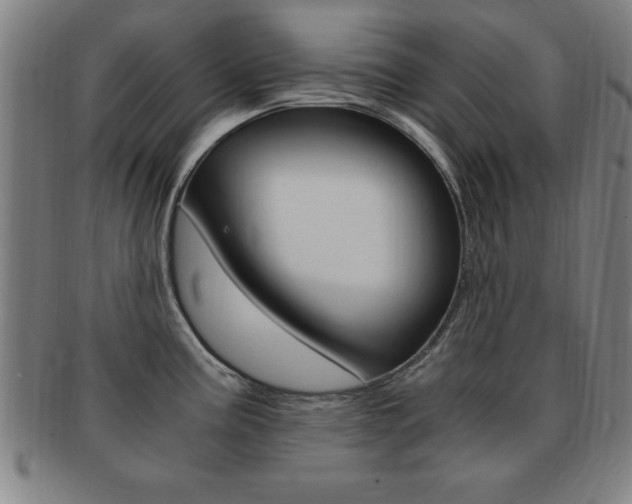 X0000091881195200709051009