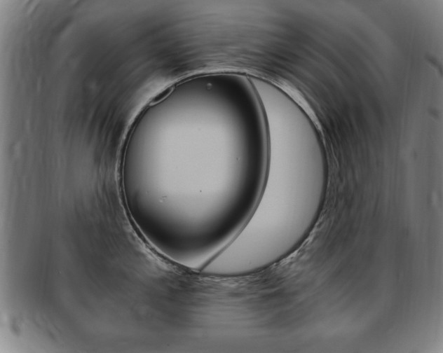 X0000091881197200709051008