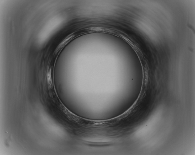 X0000091881198200709051008
