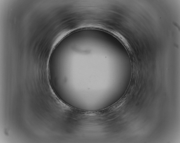 X0000091881199200709051008