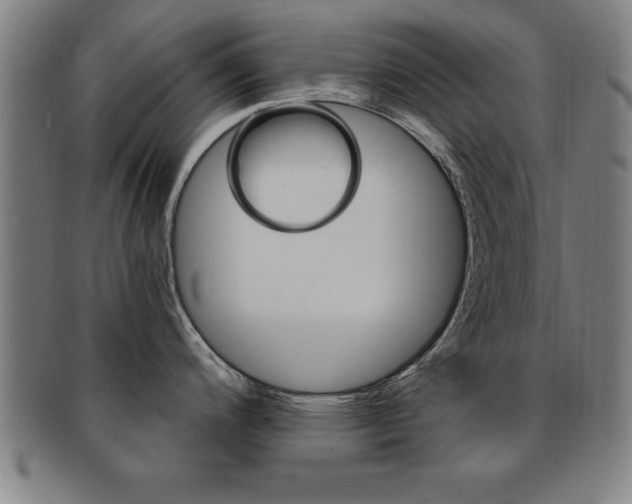 X0000091881200200709051008