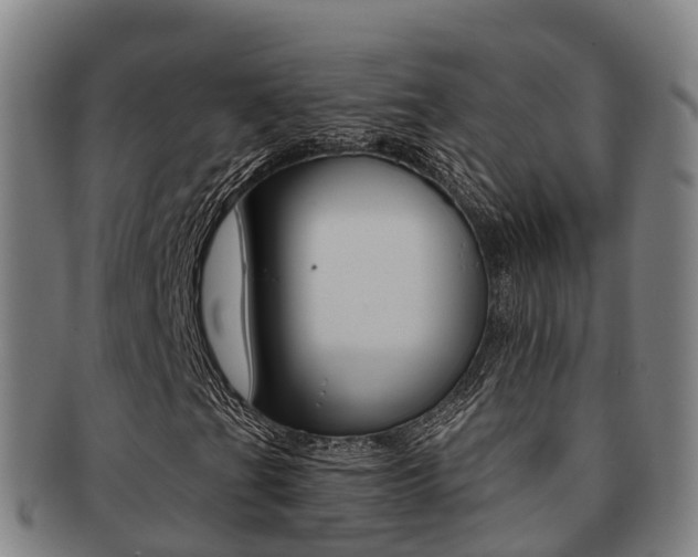 X0000091881201200709051008