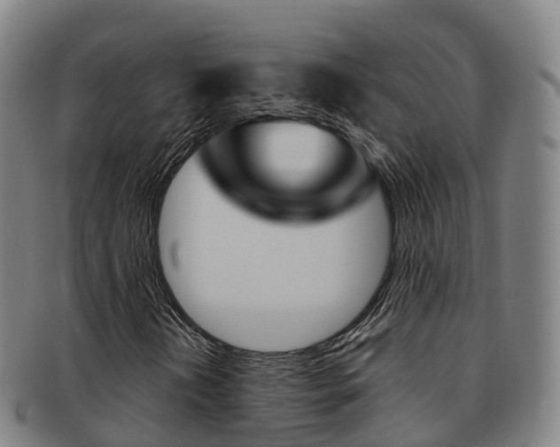 X0000091881202200709051008
