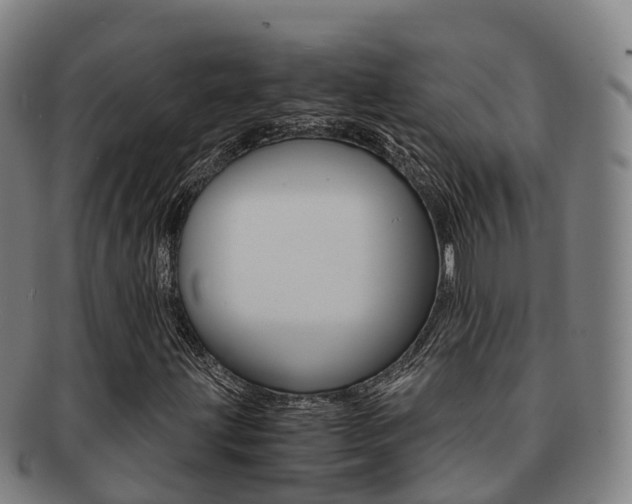 X0000091881203200709051008