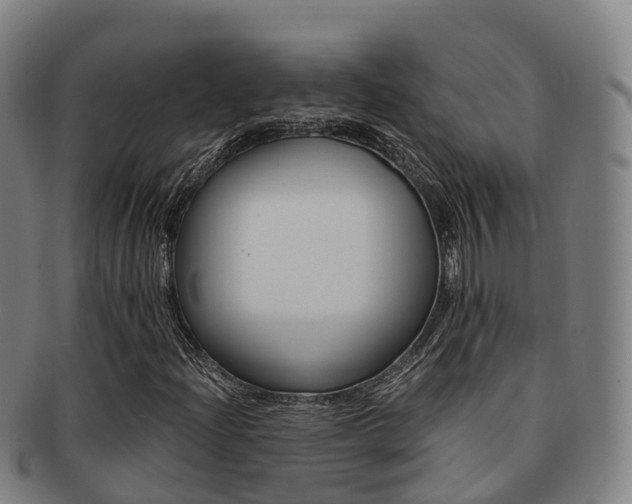 X0000091881204200709051008