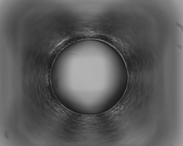 X0000091881205200709051008