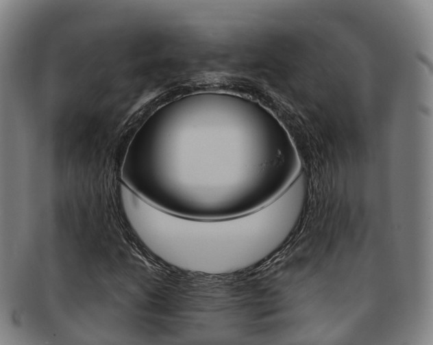 X0000091881206200709051008
