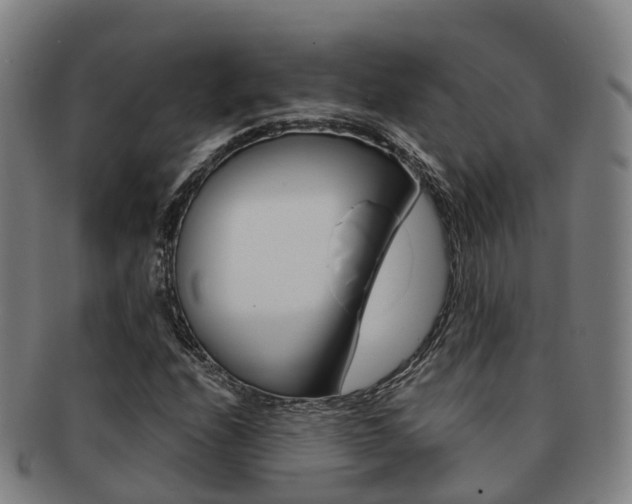 X0000091881208200709051008