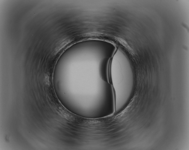 X0000091881209200709051008