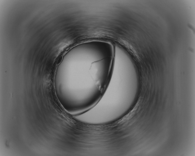 X0000091881210200709051008