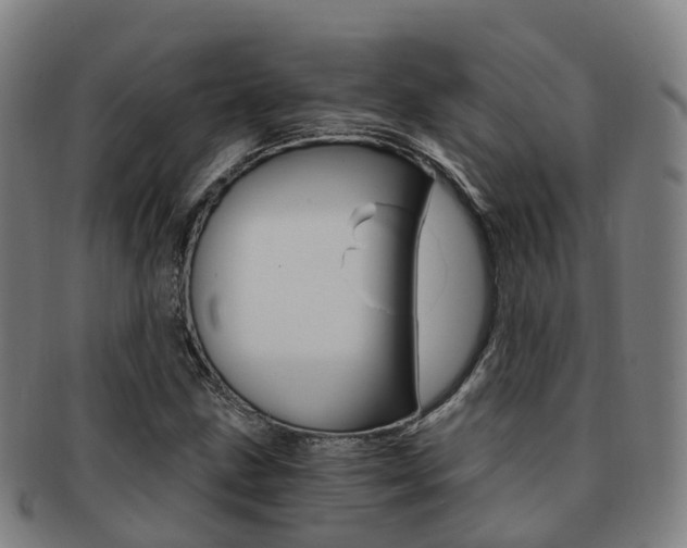 X0000091881211200709051008