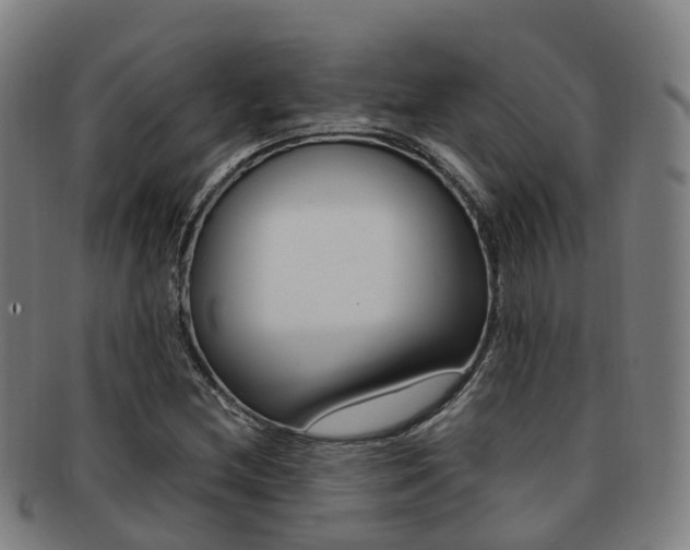 X0000091881212200709051008