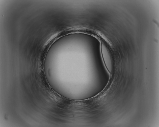 X0000091881213200709051008
