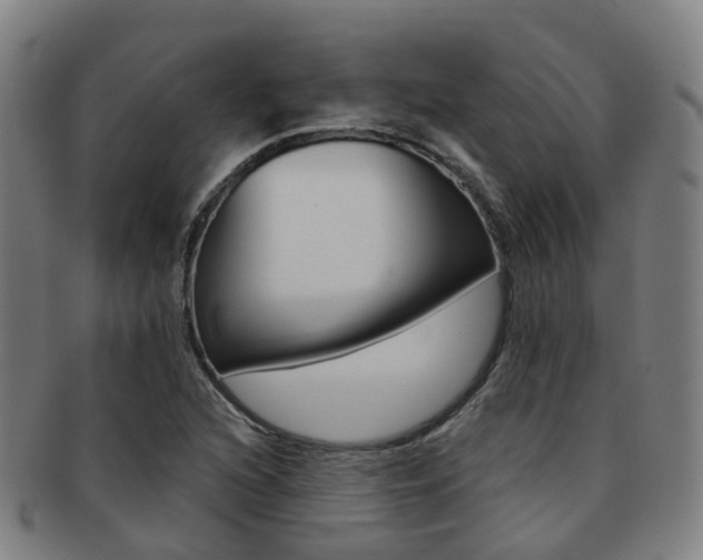 X0000091881216200709051008