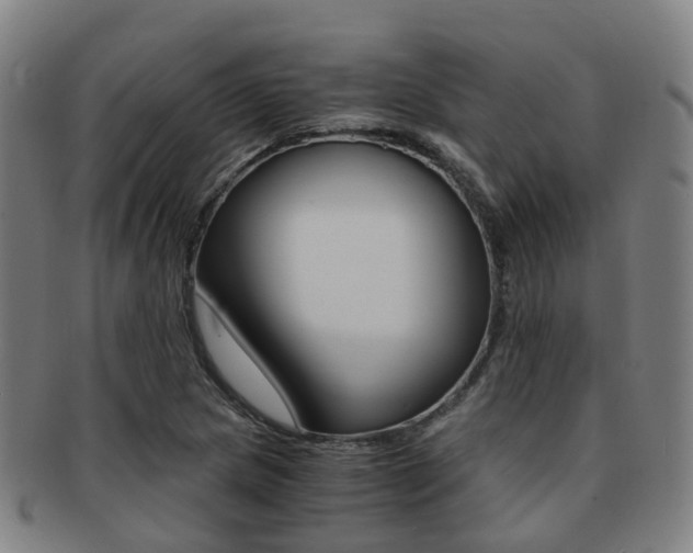 X0000091881217200709051008