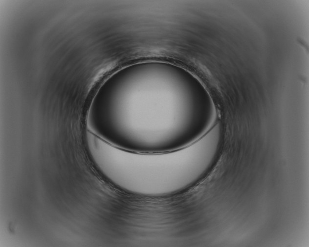 X0000091881218200709051008