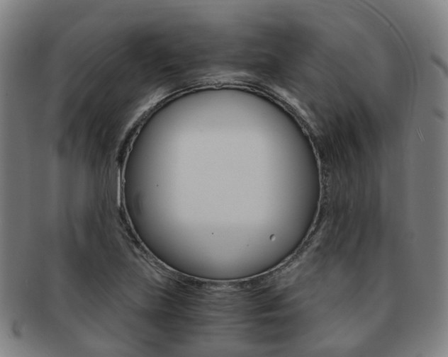 X0000091881219200709051008