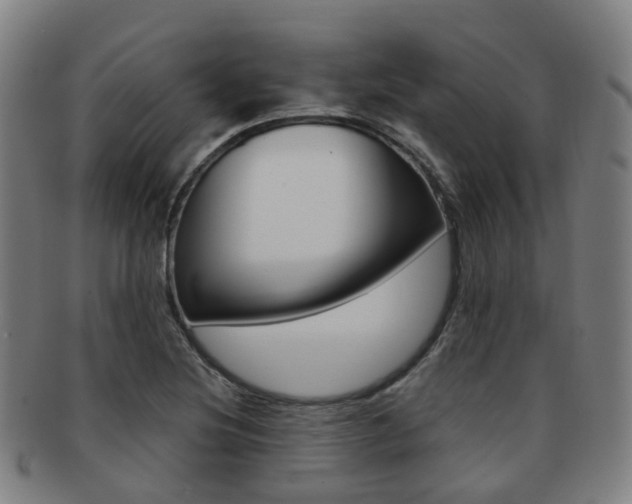 X0000091881220200709051008