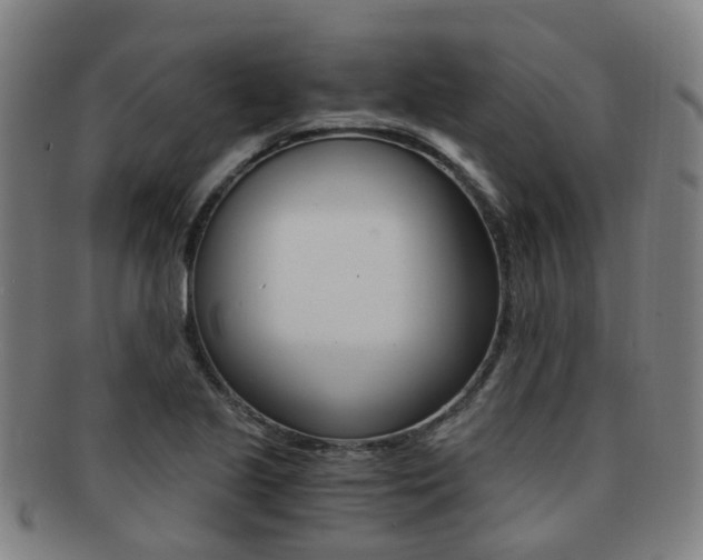X0000091881221200709051008