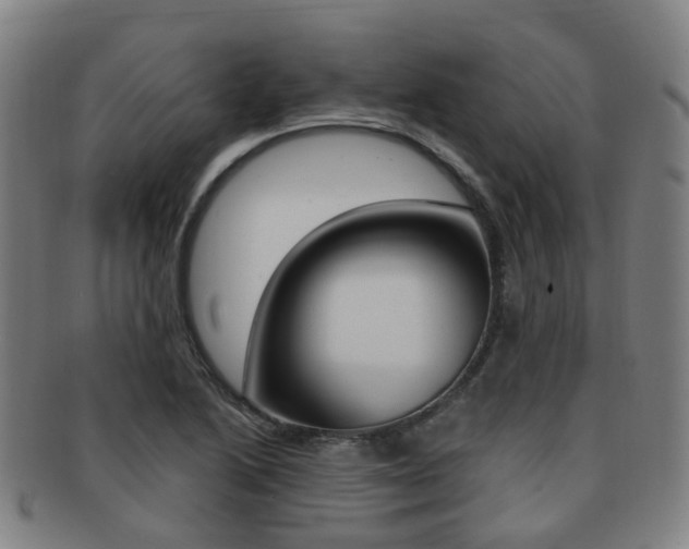 X0000091881222200709051008