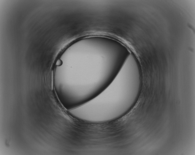 X0000091881223200709051008