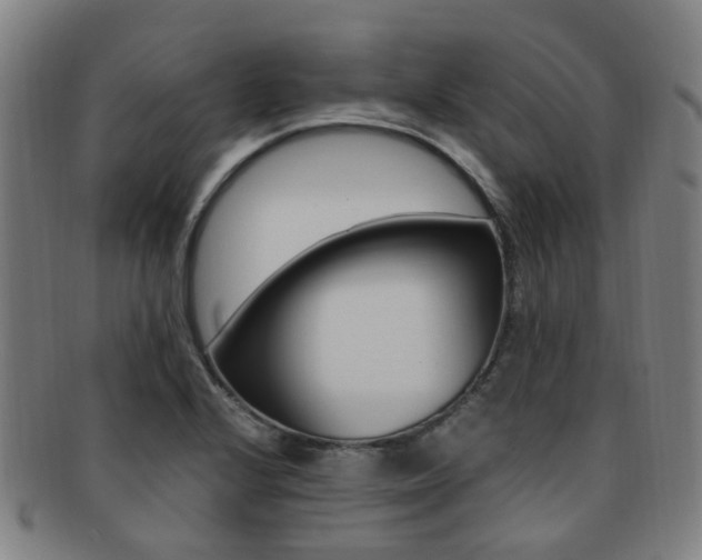 X0000091881224200709051008
