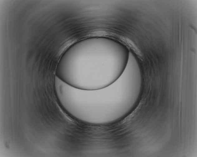 X0000091881225200709051008