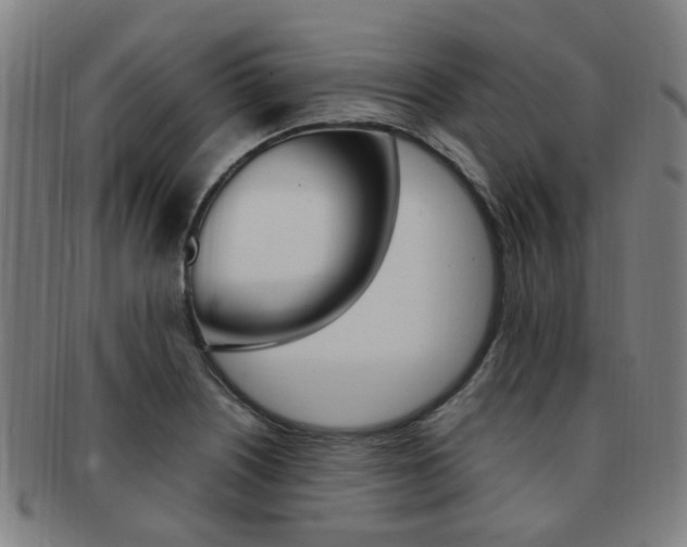 X0000091881226200709051008