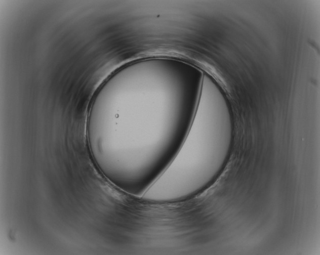 X0000091881228200709051008