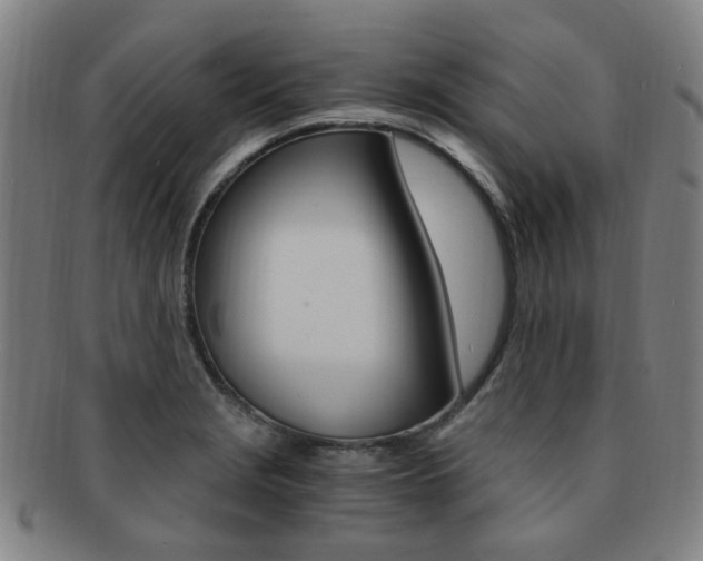 X0000091881229200709051008