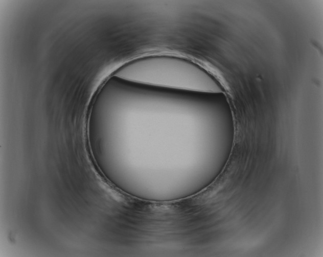 X0000091881231200709051008
