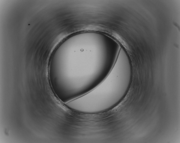 X0000091881232200709051008