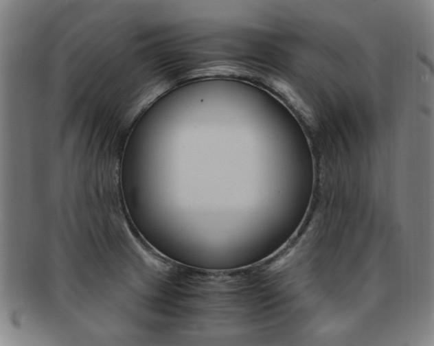 X0000091881233200709051008