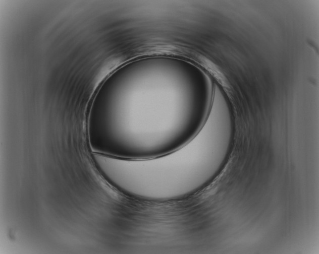 X0000091881234200709051008