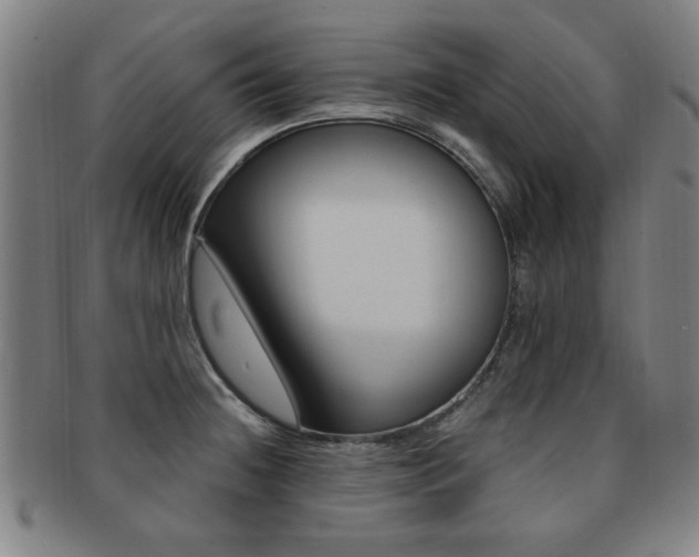 X0000091881236200709051008