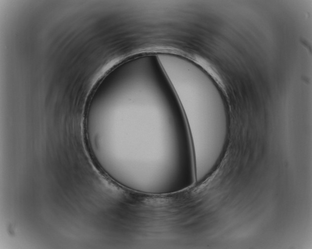 X0000091881237200709051008