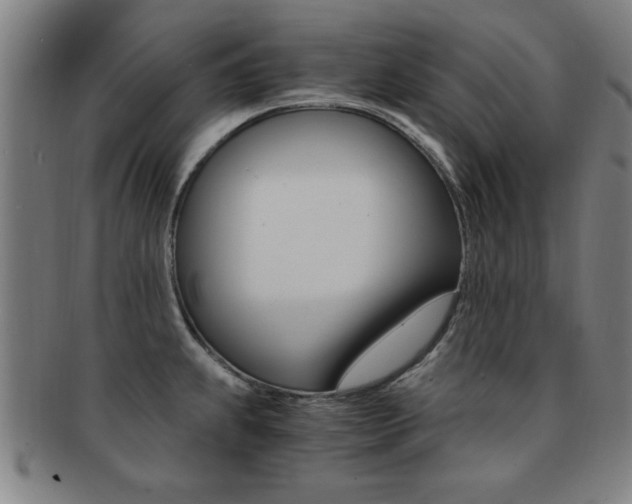 X0000091881239200709051008