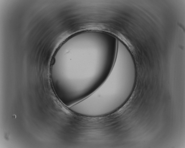 X0000091881240200709051008