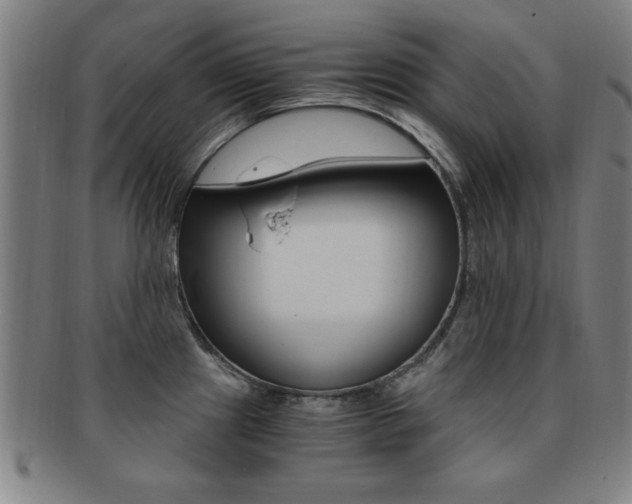 X0000091881241200709051008