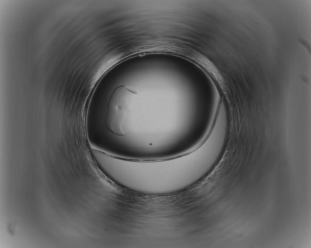 X0000091881242200709051008