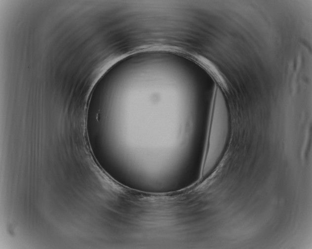 X0000091881244200709051008