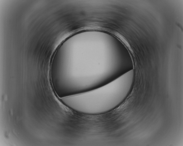 X0000091881245200709051008