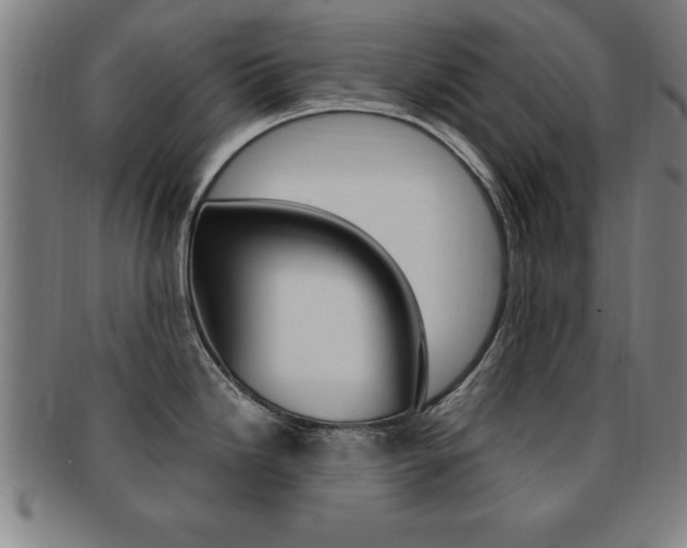 X0000091881246200709051008